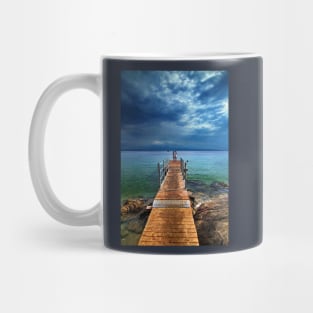 To dive or not to dive? Mug